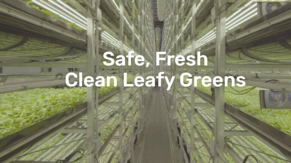 unitedfresh (2)